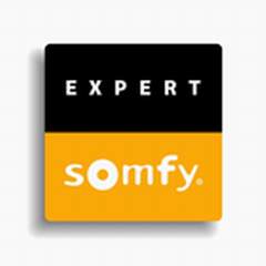 expert logo