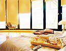 Internal Blinds