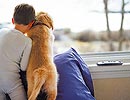 Enfant et chien
