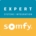 SI expert