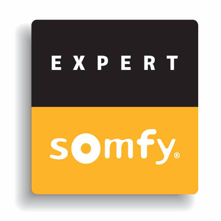 Expert logo