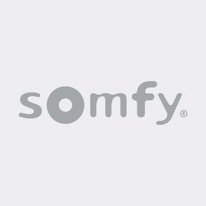 SLIM IO RECEIVER PERGOLA+PLUG - 1811584 - 1 - Somfy